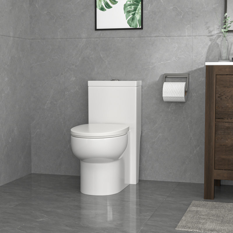 Mocoloo One-Piece Elongated Toilet Dual Flush 12" Rough-In Toilet with Soft-Close Quick-Release Seat, Dual Flush
