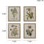 Botanical Illustration Canvas 4 - Décoration murale en lin pour 4 maisons d'art