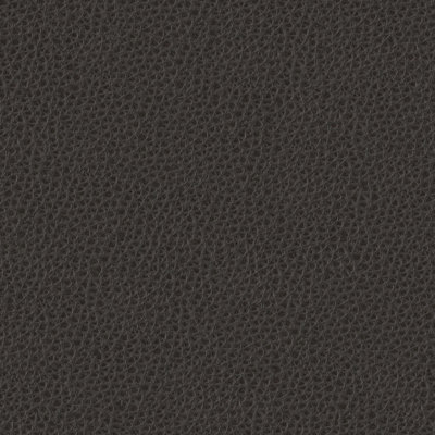 Charcoal Sample