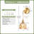 Armed Sconces with Amber Glass Shade