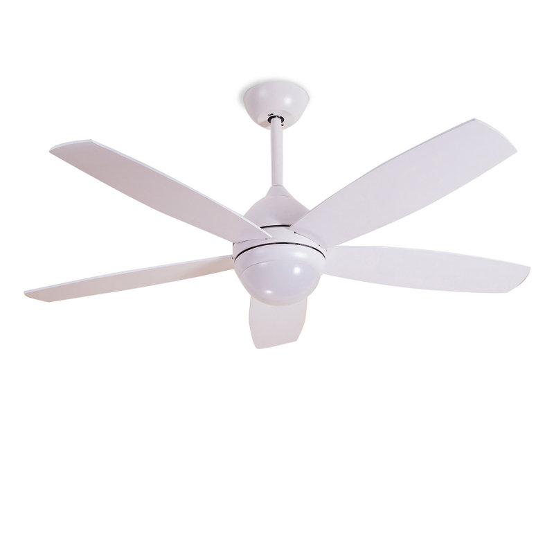 Ceiling Fan with LED Lights