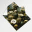 Tapisserie murale Fruit Cherimoya-133643141