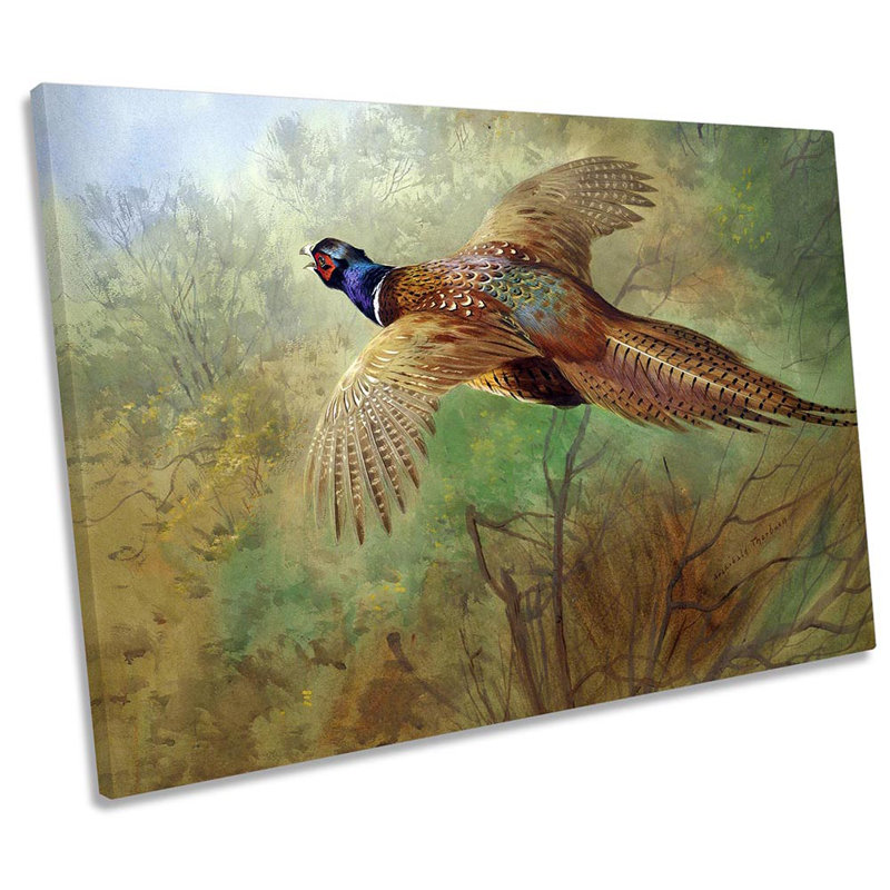 Archibald Thorburn Pheasant In Flight by Archibald Thorburn - Wrapped Canvas Print, 30.5cm H x 45.7cm W x 2cm D