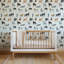 Dog Dog Days - Pale Blue-660573755-660573750-657309457