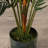 Faux Palm Tree-358977032