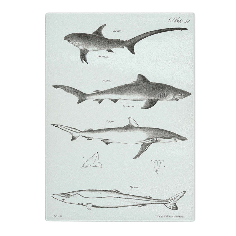 Tempered Glass Shark Illustrations by J.E. De Kay Chopping Board, 20 cm W x 28.5 cm L