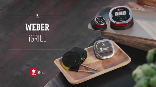 Weber Grills IGrill 2 Wireless Bluetooth Grill Thermometer With 2 Pro-Meat  Probes - 7203