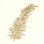 Gilded Fern I by Chris Paschke - Wrapped Canvas Print