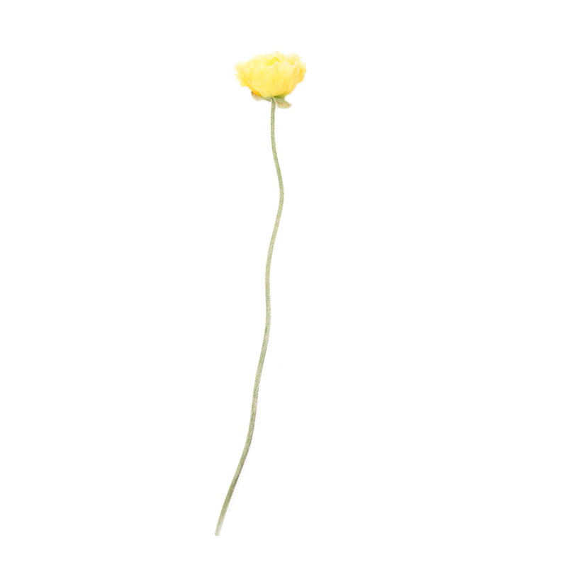 Tige artisanale 34 po, Jaune