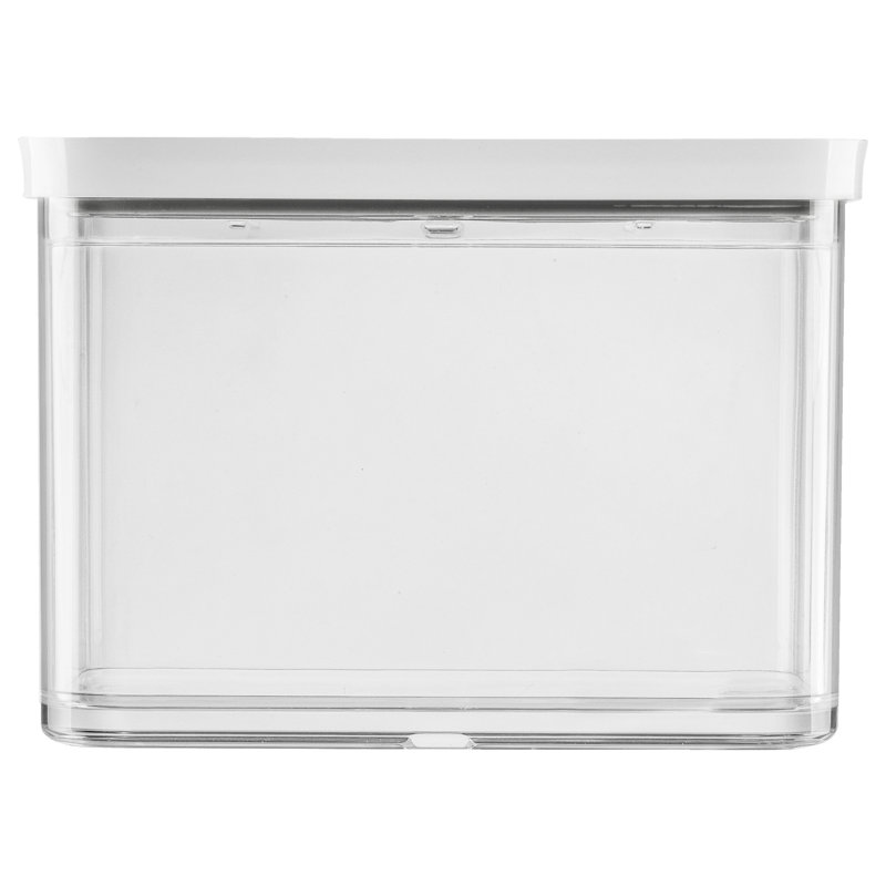 Medium Tall Clear BPA-Free Plastic Airtight Food Storage Container