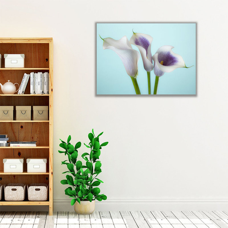 Gros plan sur trois lys blancs Calla 1 - reproduction d'art sur toile, H 18 po x l 24 po