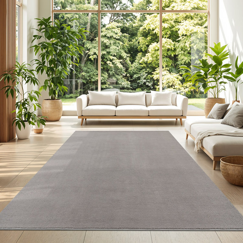 Tapis doux, doux, à poils courts, antidérapant, de couleur unie, lavable, Rectangle 5 pi 3 po x 7 pi 3 po, Gris