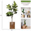 Faux figuier artificiel Panama de 77 po avec touche décorative Panama