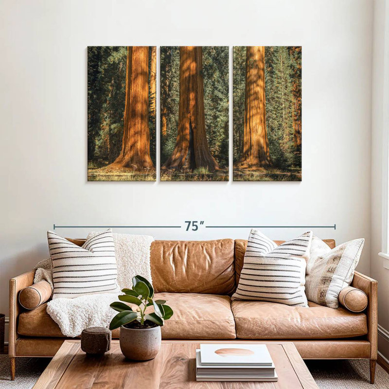 Arbres anciens du parc Harnek Sequoia, H 36 po x l 57 po