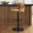 Moritz Genuine Leather Swivel Adjustable Height Stool-1857034188