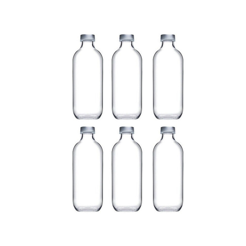 Belfry Kitchen Talreja 360ml Glass Water Bottle