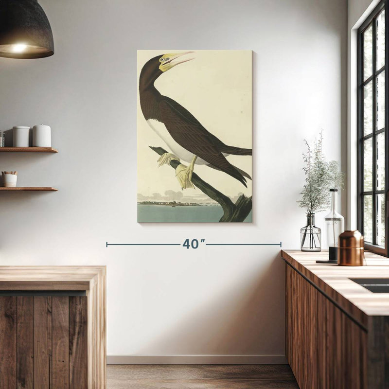 Brampt Booby Gannet, 39" H x 26" W