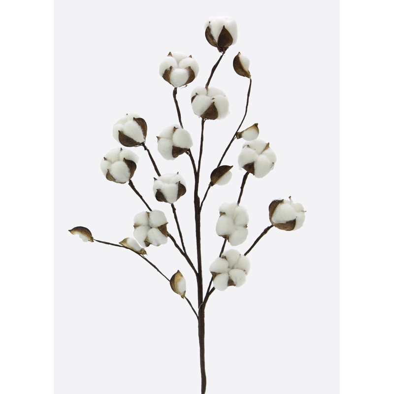 Tiges de coton faux