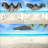 Lyon 10 Ft. W x 10 Ft. D Canopy-97765633