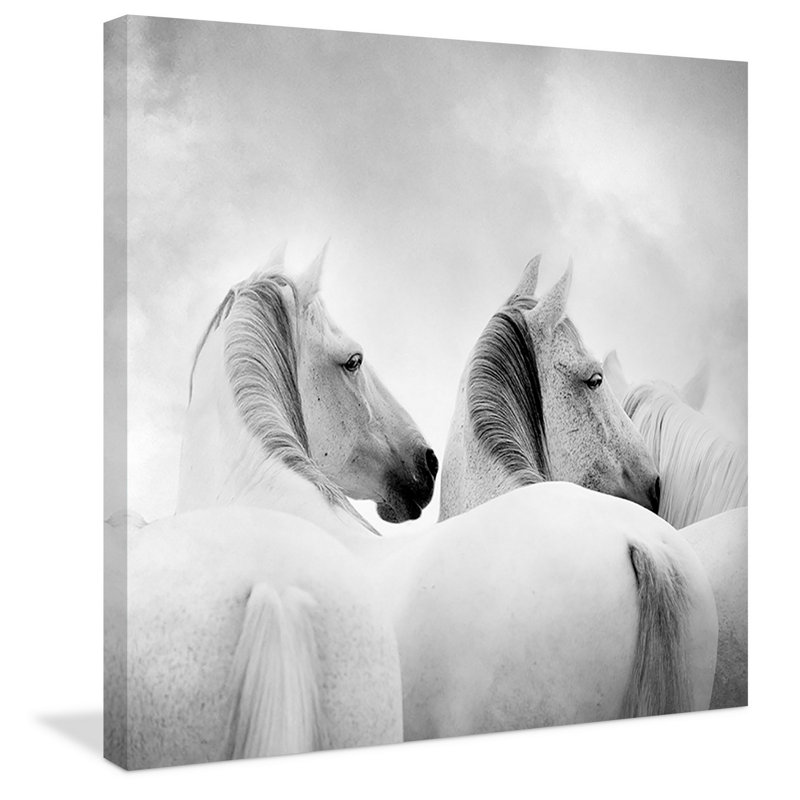 « chevaux », reproduction d’art sur toile tendue, H 18 po x l 18 po x p 1,5 po