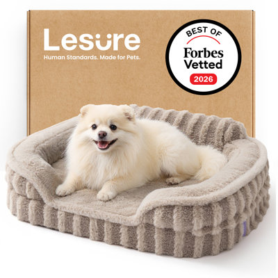 Lit pour chien Lesure, lit orthopédique imperméable pour animaux de compagnie avec côtés, fond antidérapant à haut dossier et canapé en mousse pour caisse d'œufs avec housse amovible et lavable