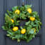 Couronne de porte Salal Leaf & Lemon Everyday Spring Summer Summer 24 "