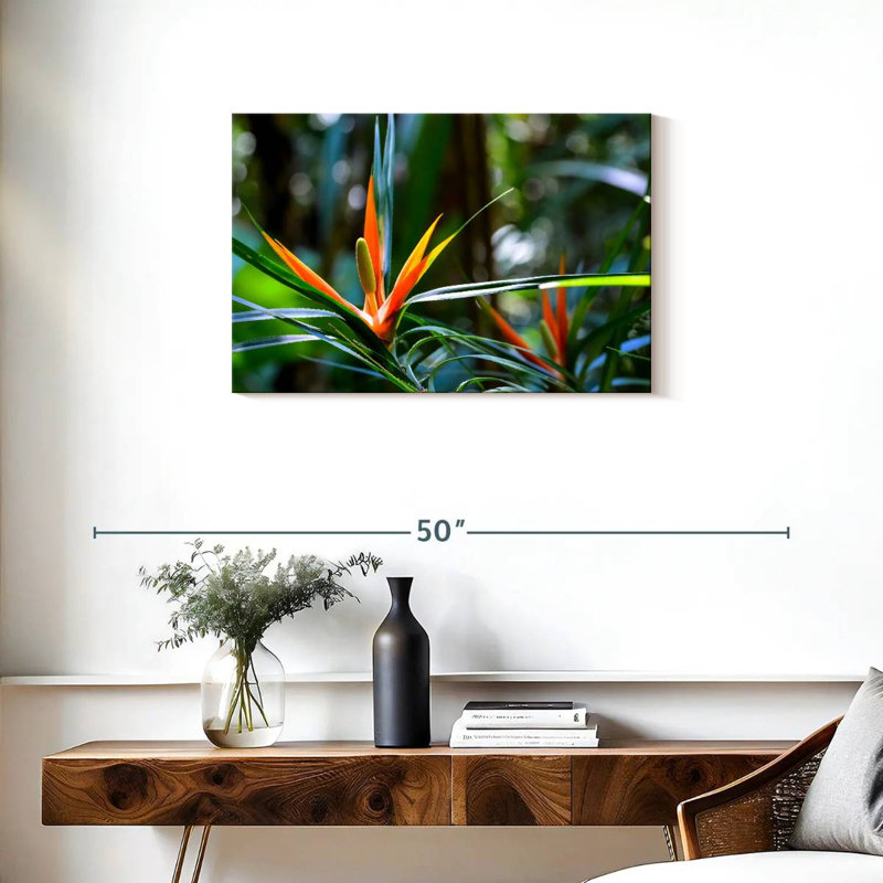 Harnek, oiseaux tropicaux du paradis