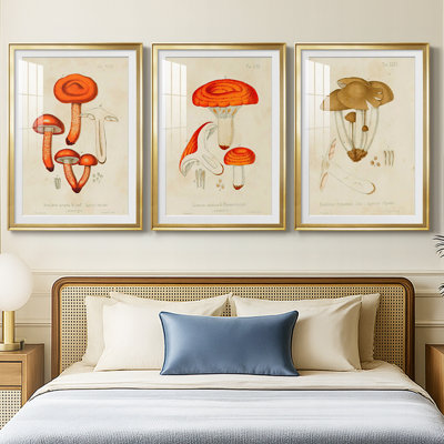 Champignon Variétés IV - Impression sur mesure encadrée de qualité supérieure - 3 pièces