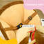 EvoNet Toy