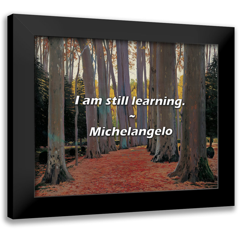 Michelangelo Quote: I am still learning.