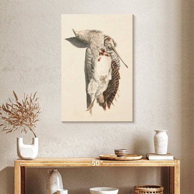 Deux oiseaux morts