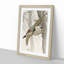 Pheasant in Flight by Ohara Koson - Picture Frame Painting Print on MDF-55583560-55583561
