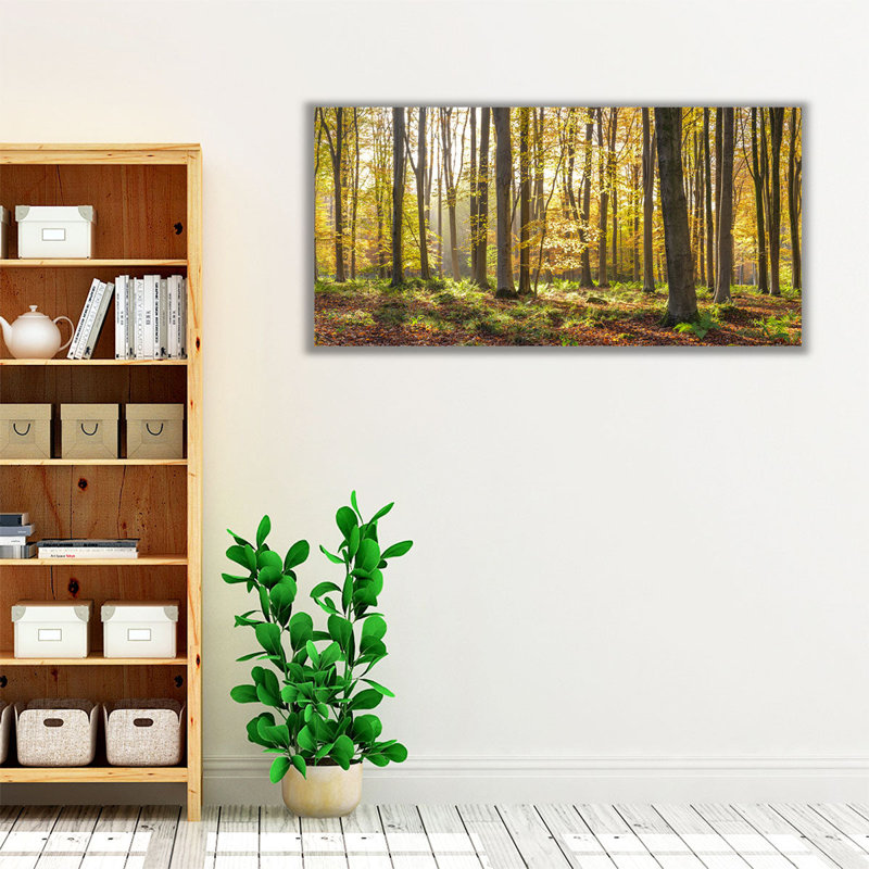 «Sunshining Through Autumn Forest», reproduction d'art sur toile, H 24 po x l 48 po