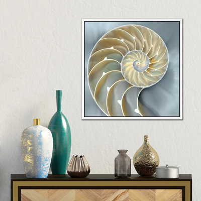 Nautilus In Blue I