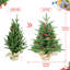 Arbre de Noël épinette pré-éclairé