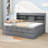 Tammeria Full / Double Daybed with Trundle-647689699