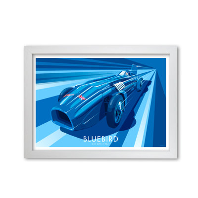 Bluebird by Stephen Millership - Print