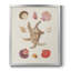 Toile de qualité supérieure Knorr Shells & Coral II - prête à être accrochée-110895269-110895265