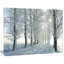 Landscape Winter Trees Backlit Morning Sun Canvas Photograph - Winter Trees-58546601