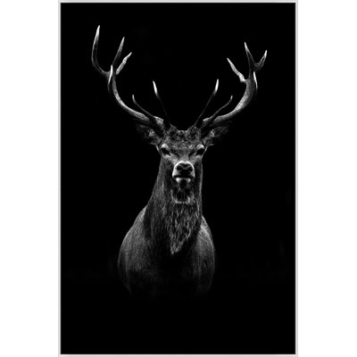 " Deer Shadows 1 "