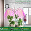 Maker Network Grow Light