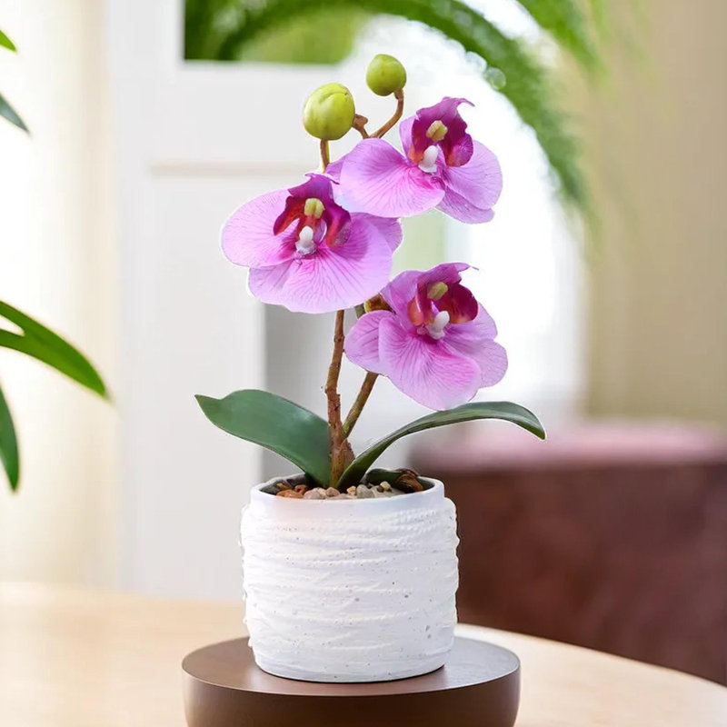 Petite plante artificielle orchidée rose d'intérieur, 9 pouces, 3 cm, Rose, Blanc