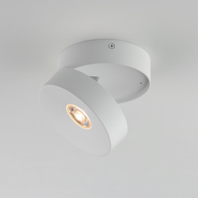 Swinger-Flush Mount