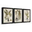Fern Botanical IV - Ensemble de 3 peintures sur toile encadrées-131489271-131489276