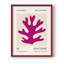 Matisse CLXI, reproduction encadrée - bois massif-1619064407-1619064401