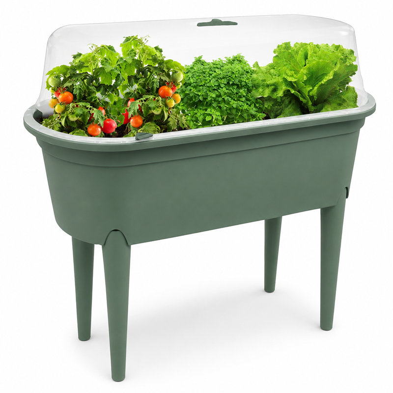 Raised Garden Bed