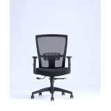 Cassity Swivel Task Chair