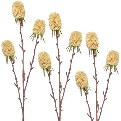 29" Autumn Thistle X3
