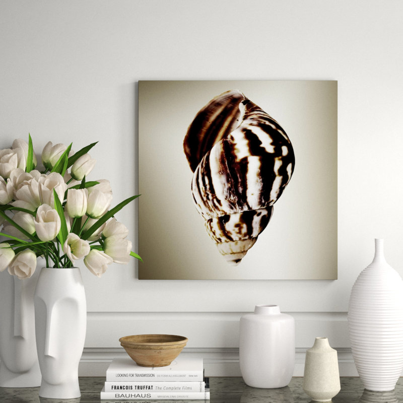 Gilt Shells II Print by Zoey Riley, 47" H x 47" W, Outdoor