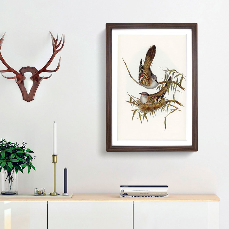 Crested Pigeons by Elizabeth Gould - Framed Print, 36cm H x 27cm W x 2cm D, Walnut Framed